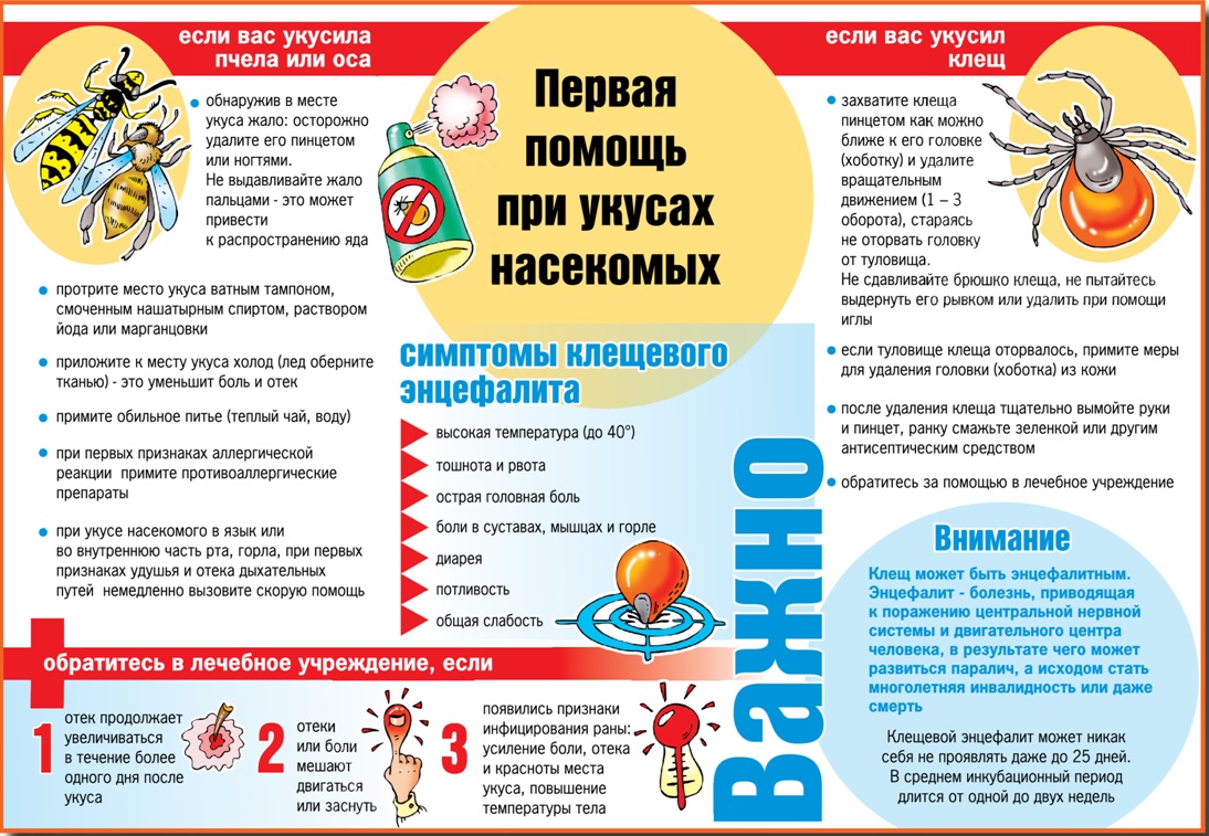 Первая помощь при укусе насекомых