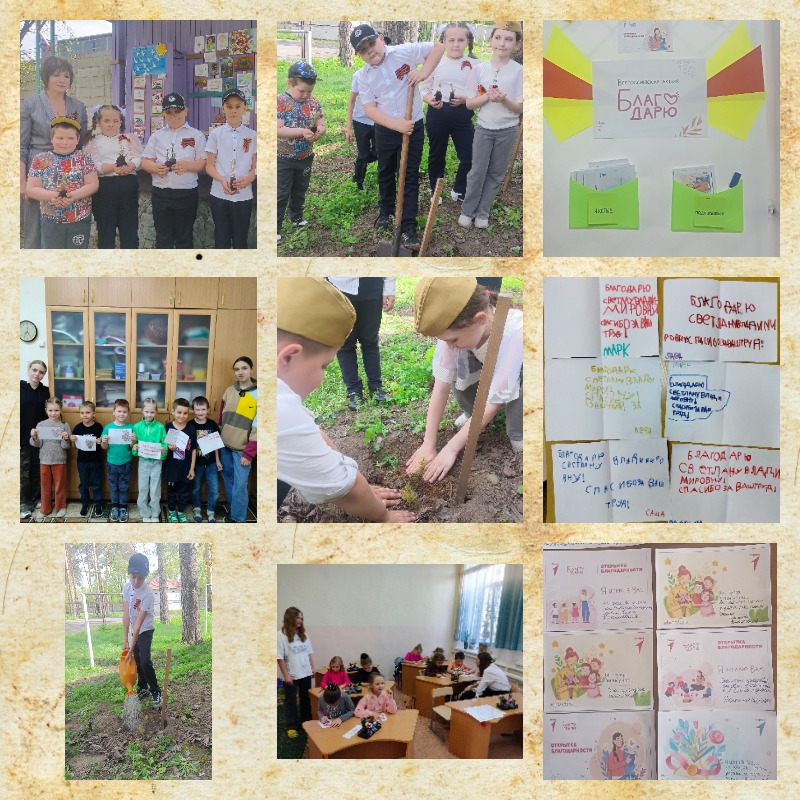 collage 2025 05 12T140016.535